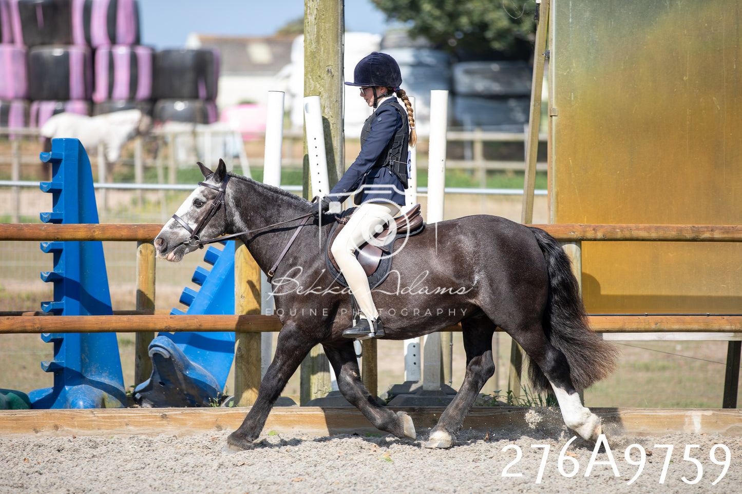 Home Farm Annual Show 2025 - Ridden Pt 2