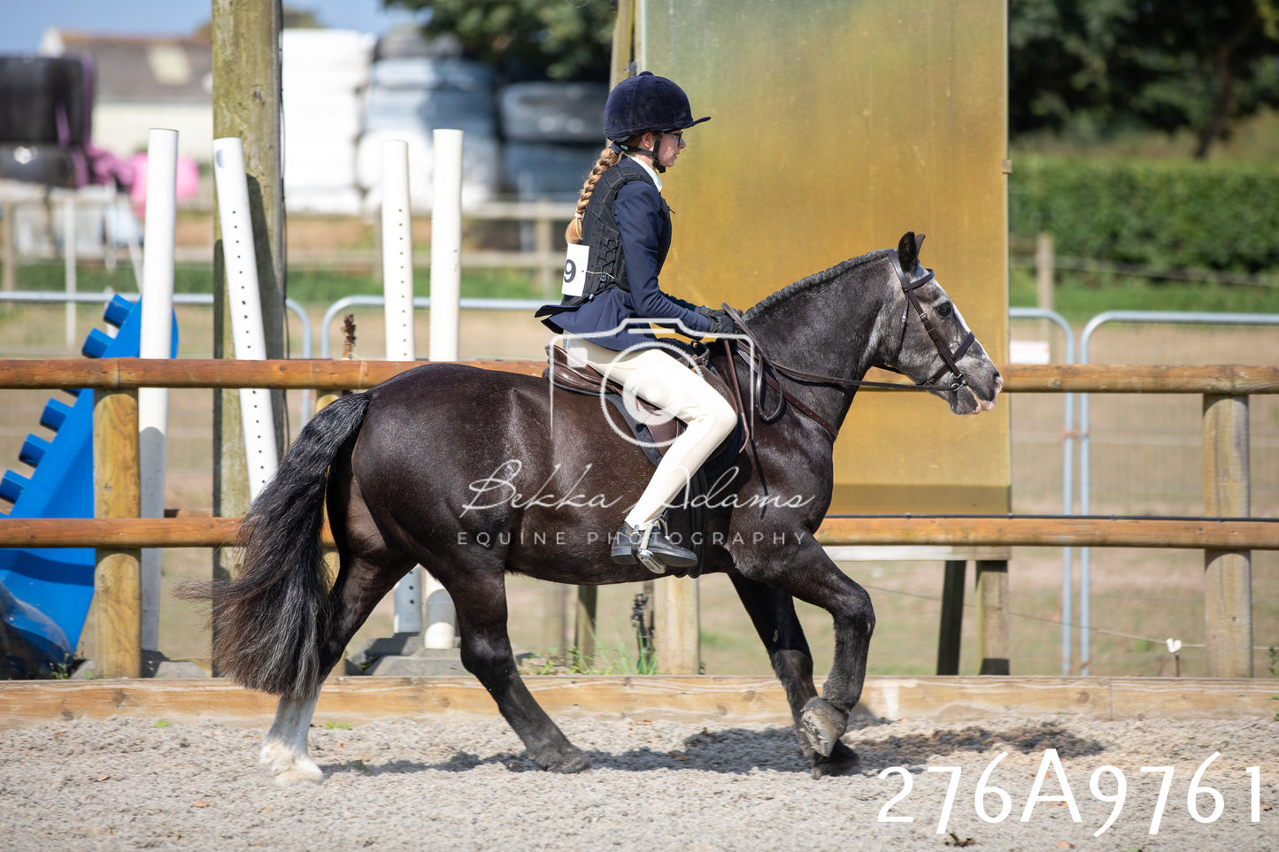 Home Farm Annual Show 2025 - Ridden Pt 2
