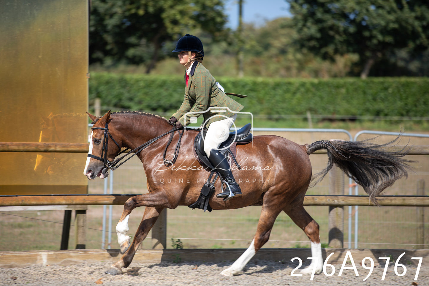 Home Farm Annual Show 2025 - Ridden Pt 2