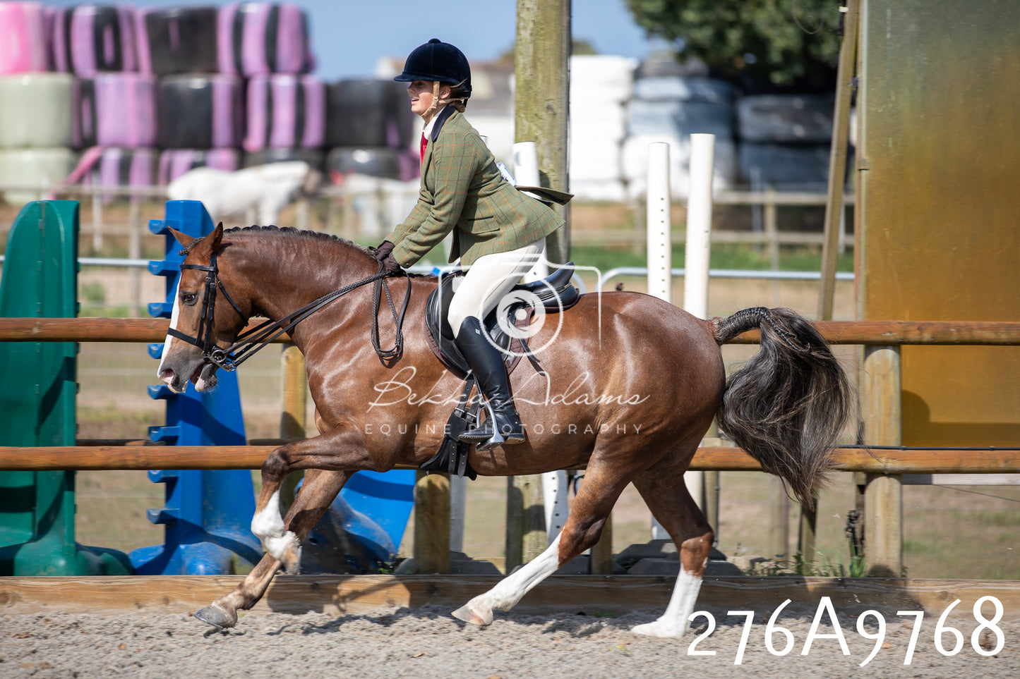 Home Farm Annual Show 2025 - Ridden Pt 2