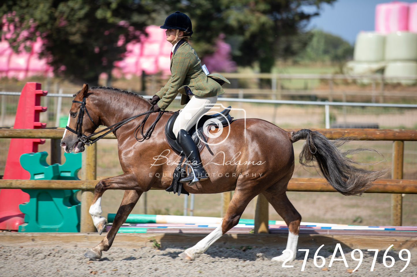 Home Farm Annual Show 2025 - Ridden Pt 2
