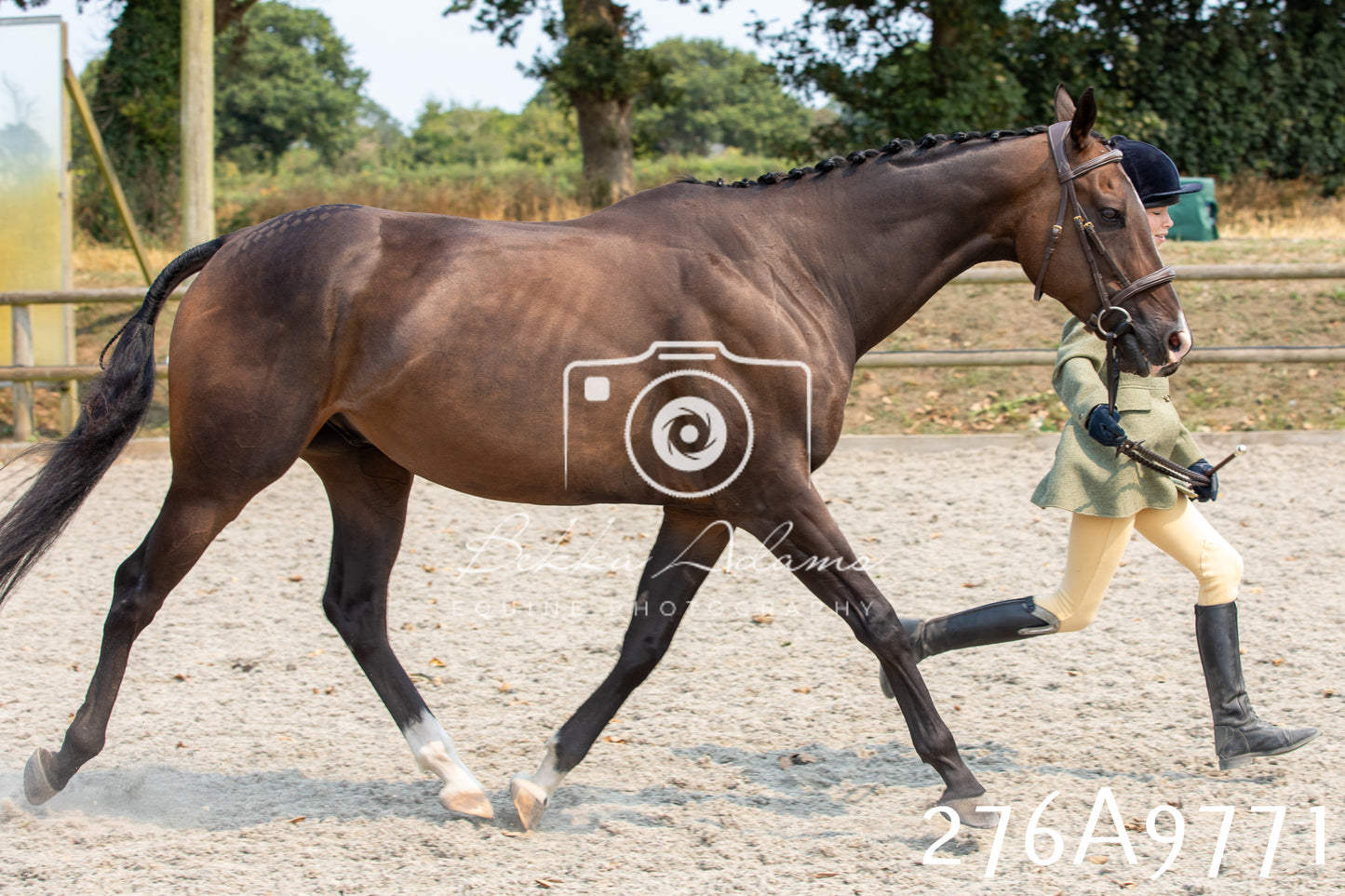 Home Farm Annual Show 2025 - Inhand Pt 2