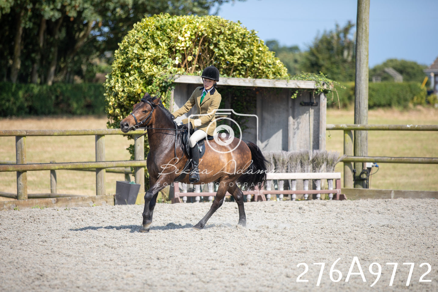 Home Farm Annual Show 2025 - Ridden Pt 2