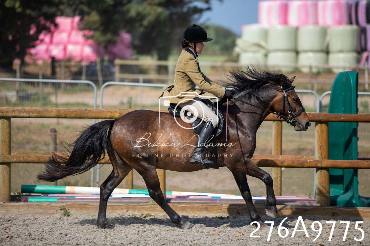 Home Farm Annual Show 2025 - Ridden Pt 2