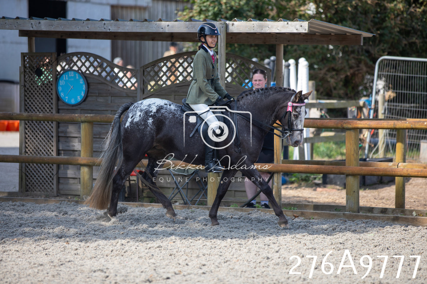Home Farm Annual Show 2025 - Ridden Pt 2