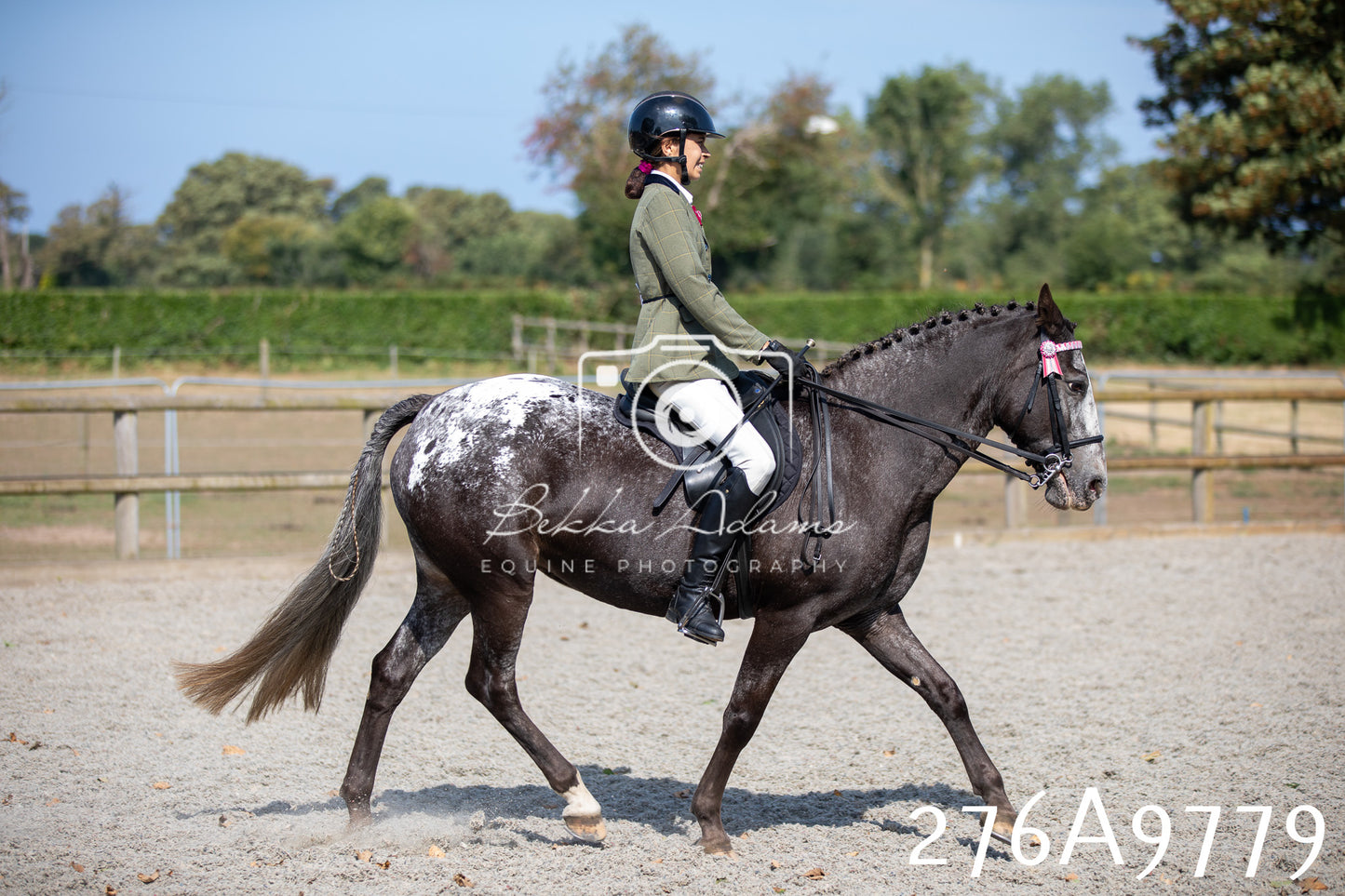 Home Farm Annual Show 2025 - Ridden Pt 2