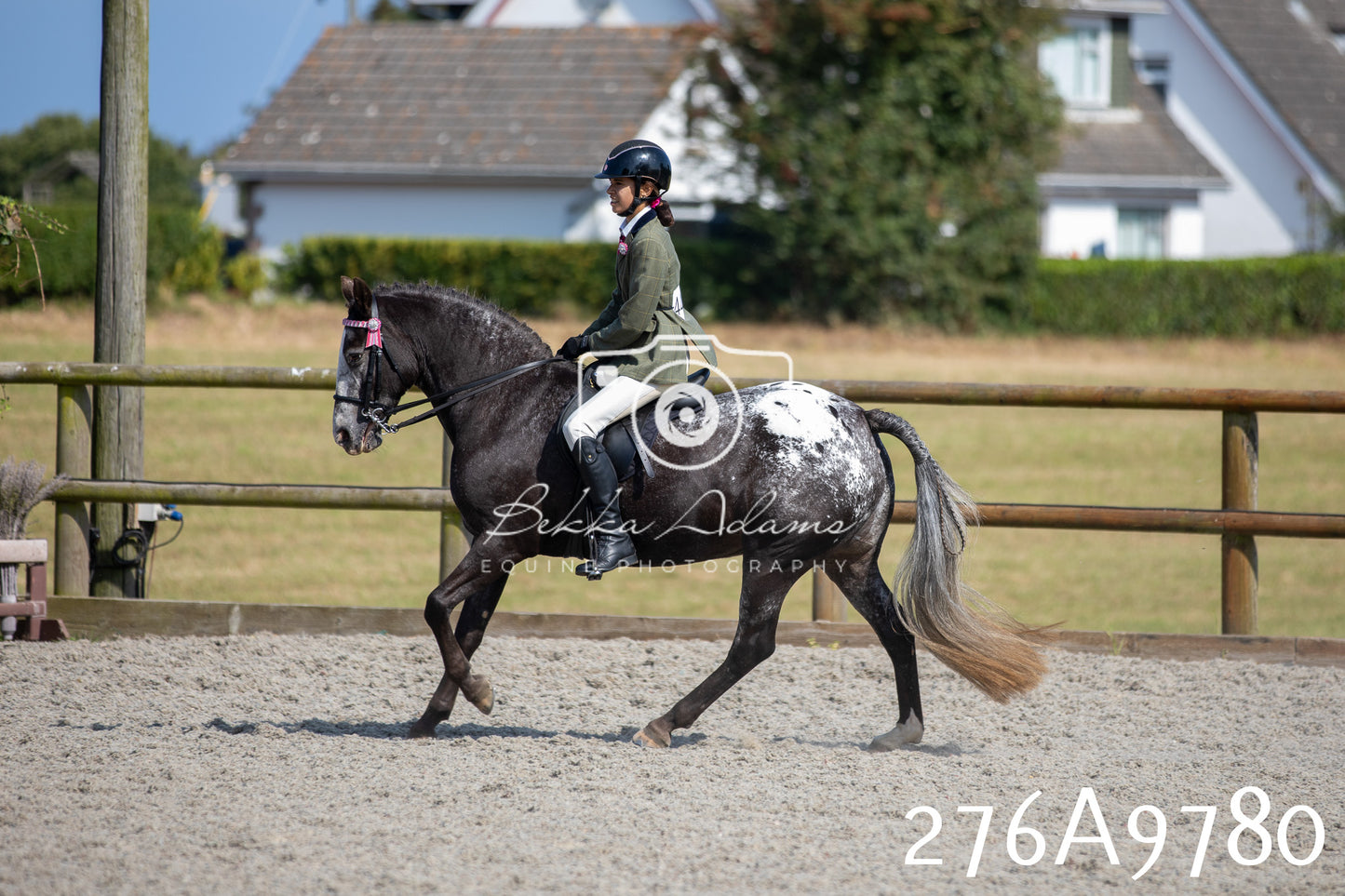 Home Farm Annual Show 2025 - Ridden Pt 2