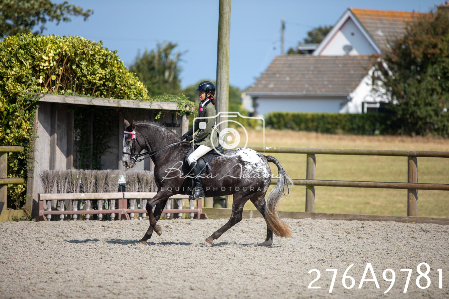 Home Farm Annual Show 2025 - Ridden Pt 2