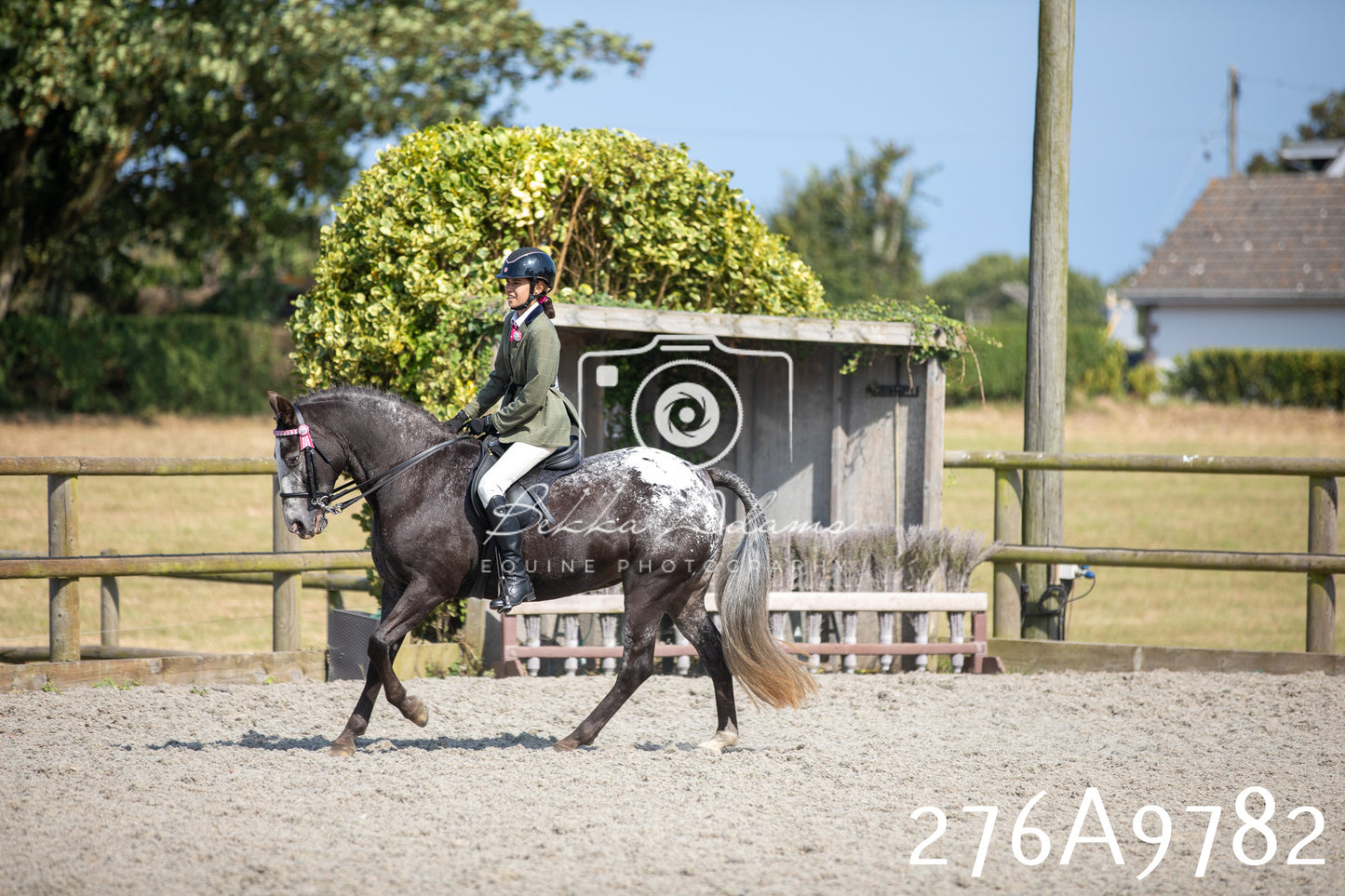 Home Farm Annual Show 2025 - Ridden Pt 2
