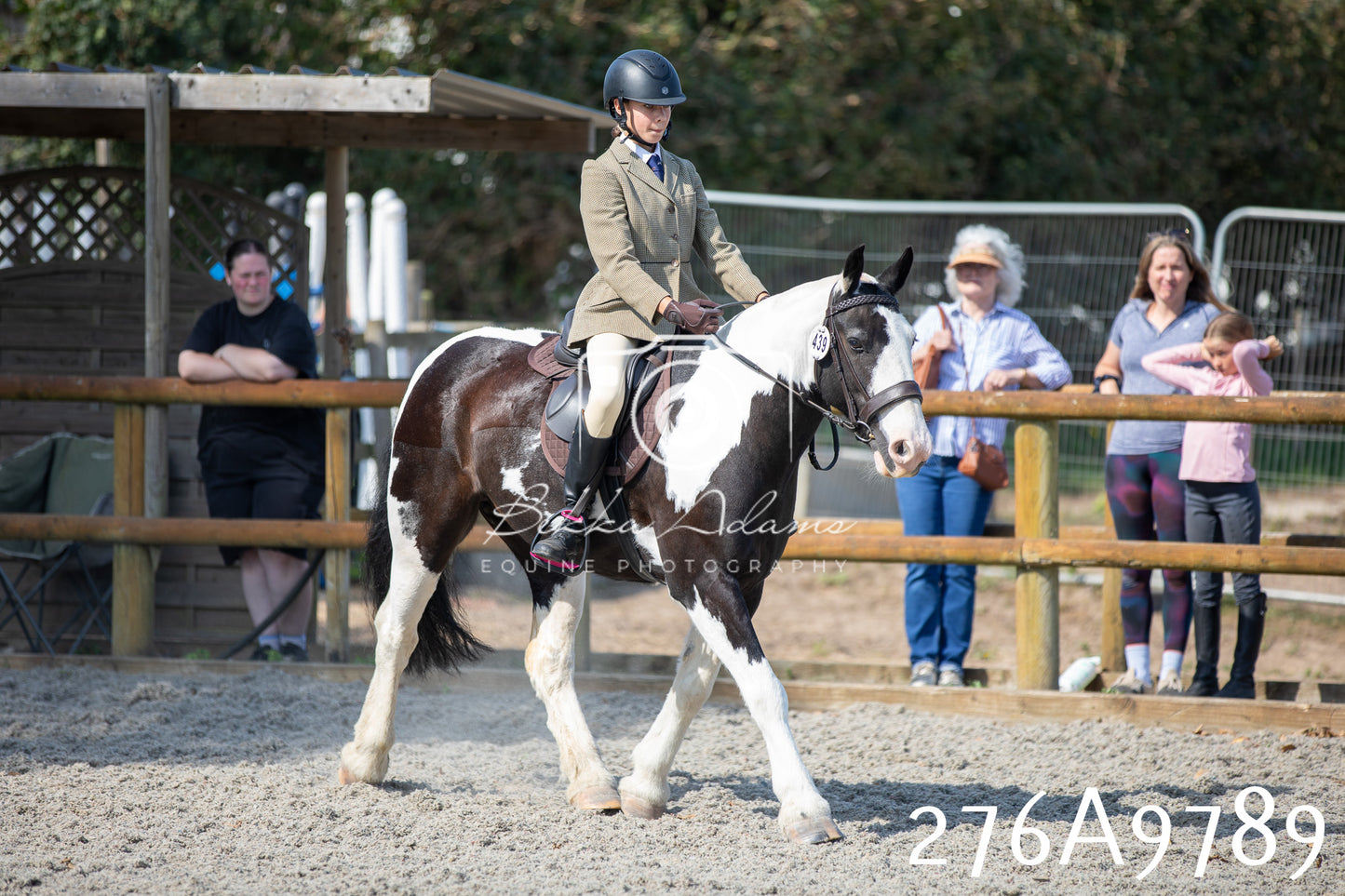 Home Farm Annual Show 2025 - Ridden Pt 2