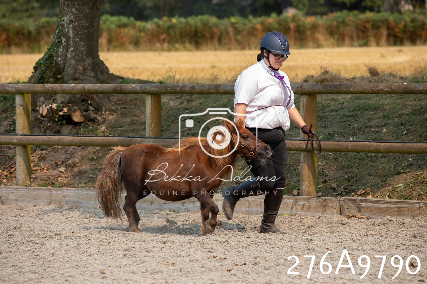Home Farm Annual Show 2025 - Inhand Pt 2