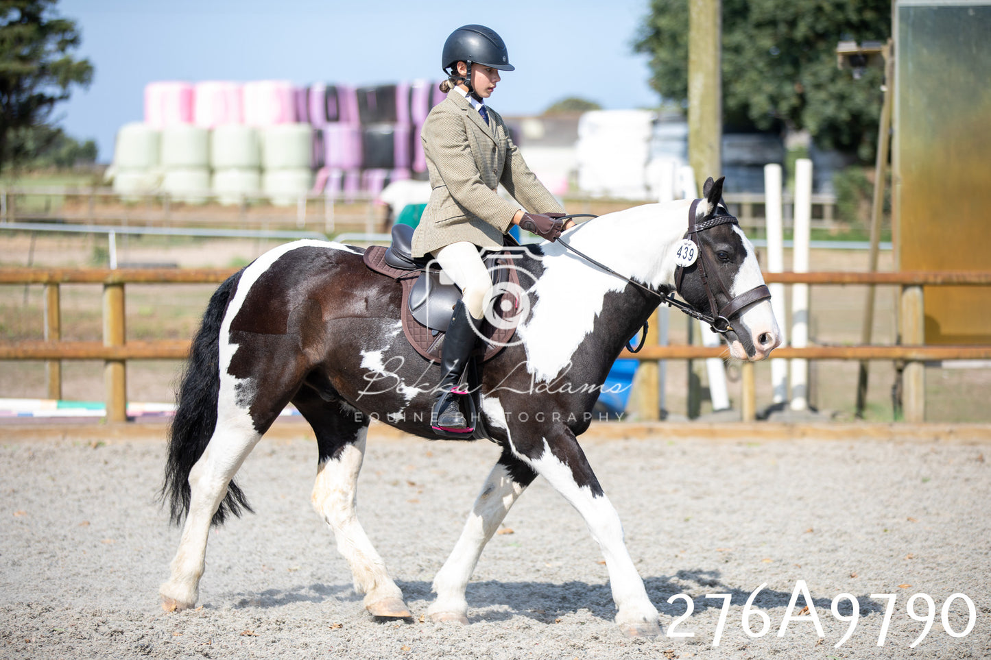 Home Farm Annual Show 2025 - Ridden Pt 2