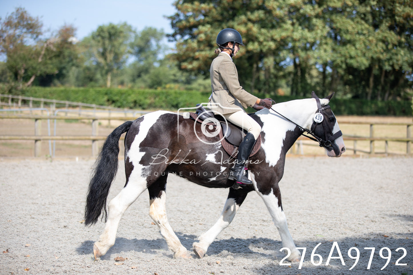 Home Farm Annual Show 2025 - Ridden Pt 2
