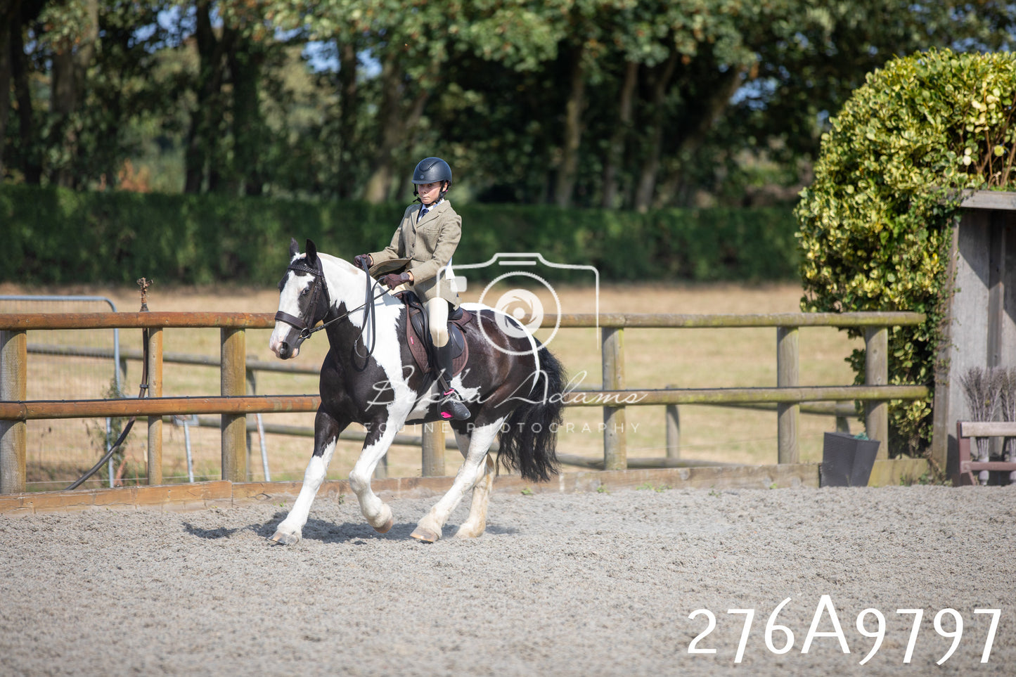 Home Farm Annual Show 2025 - Ridden Pt 2