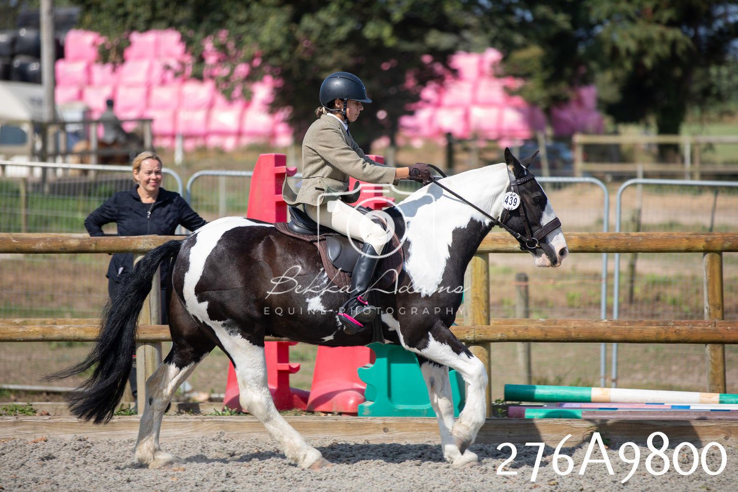 Home Farm Annual Show 2025 - Ridden Pt 2