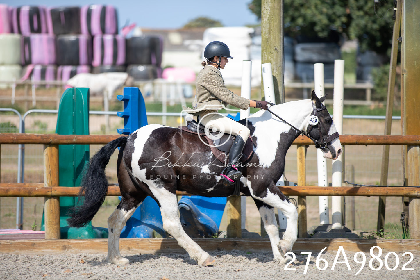 Home Farm Annual Show 2025 - Ridden Pt 2