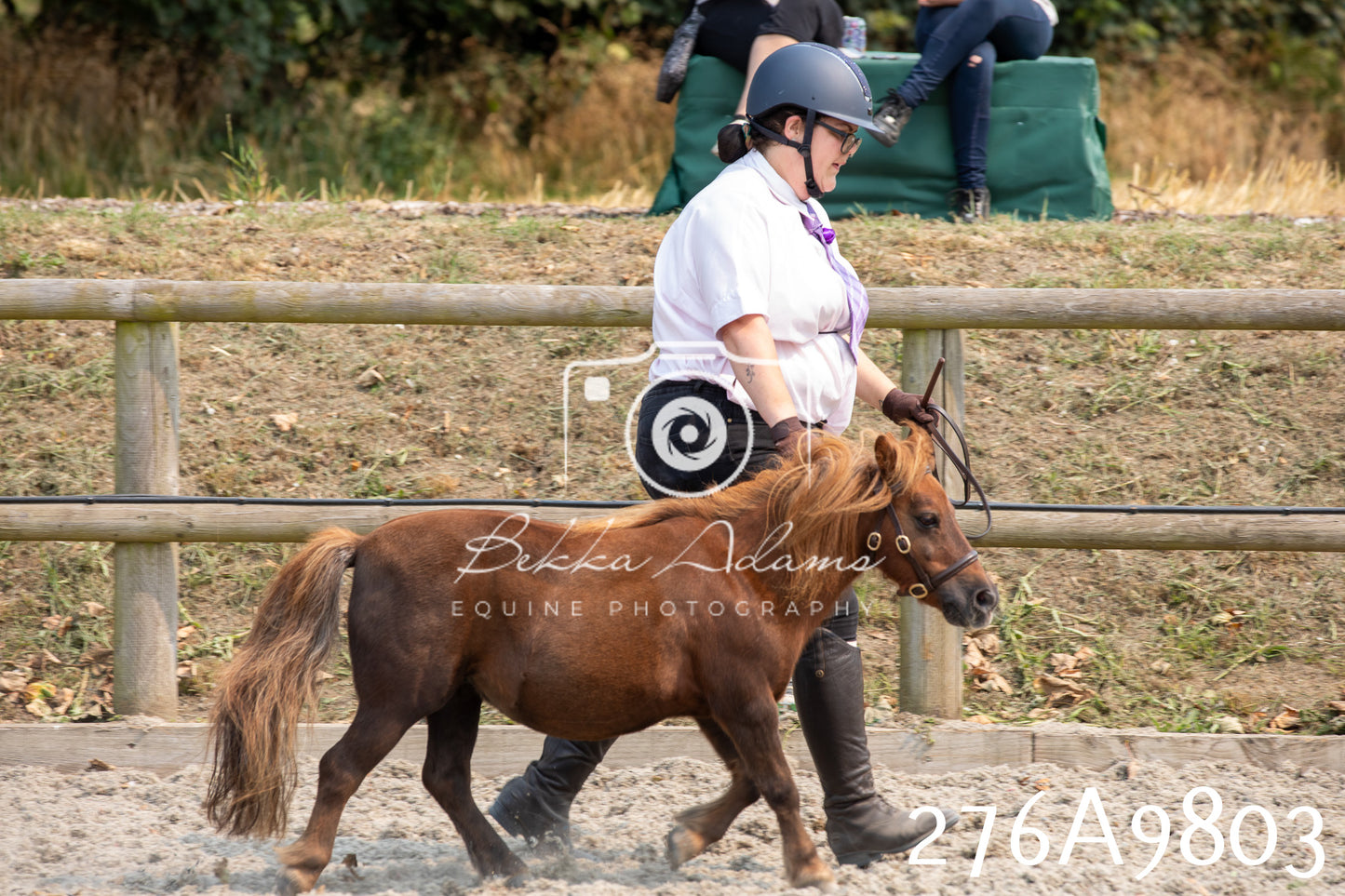 Home Farm Annual Show 2025 - Inhand Pt 2