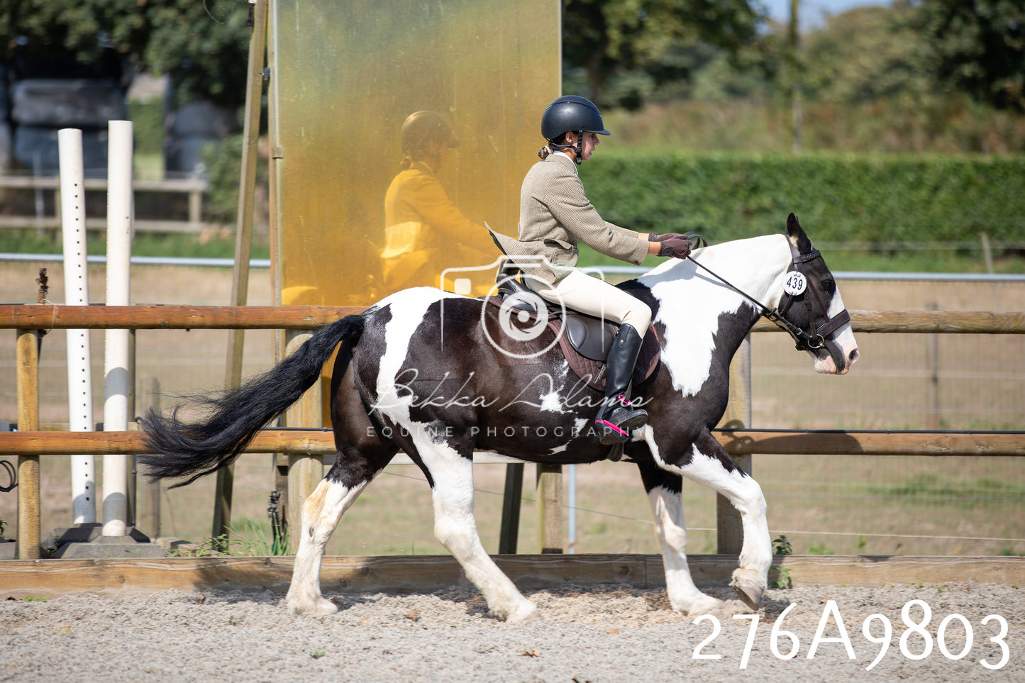 Home Farm Annual Show 2025 - Ridden Pt 2
