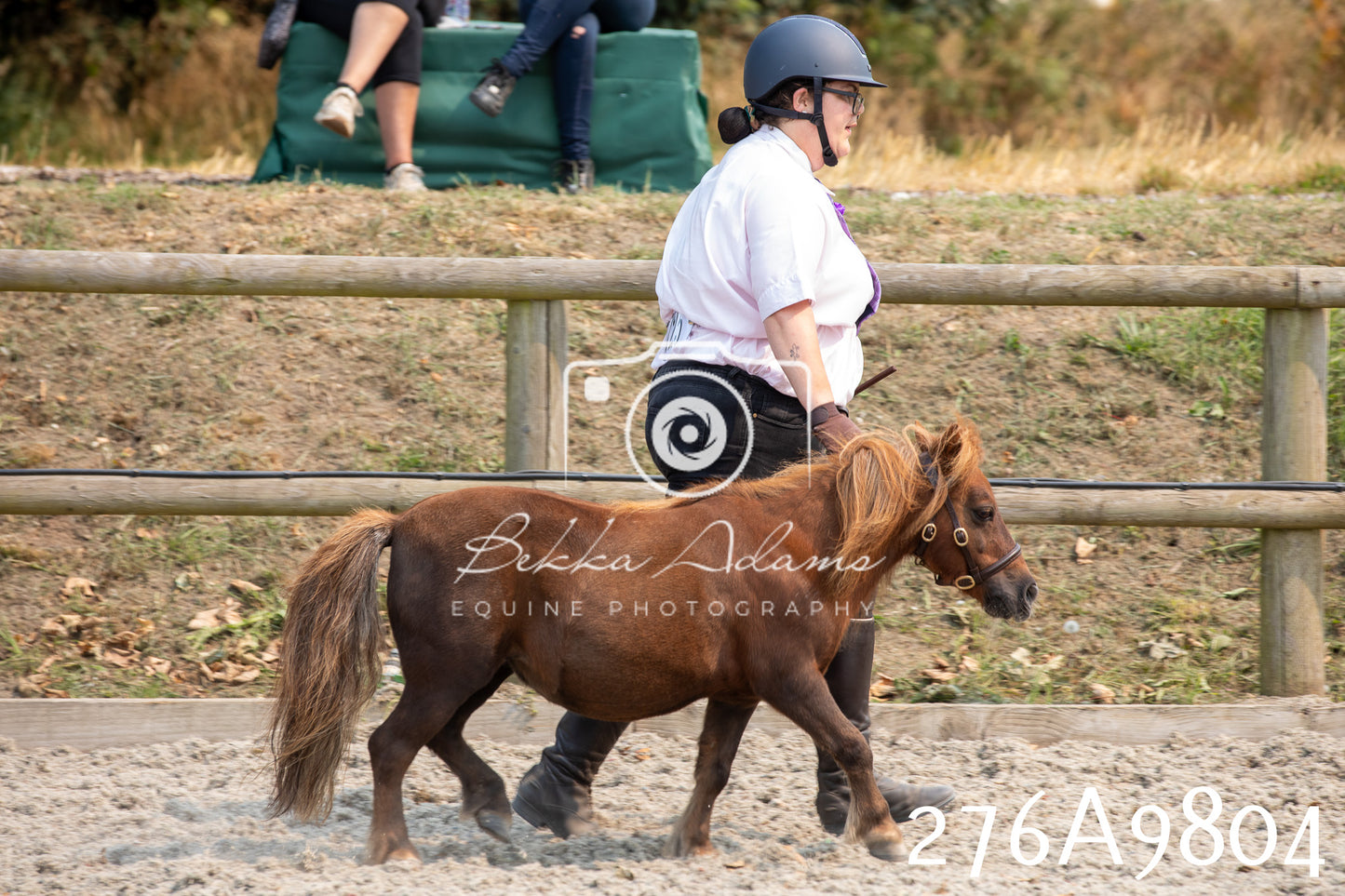 Home Farm Annual Show 2025 - Inhand Pt 2
