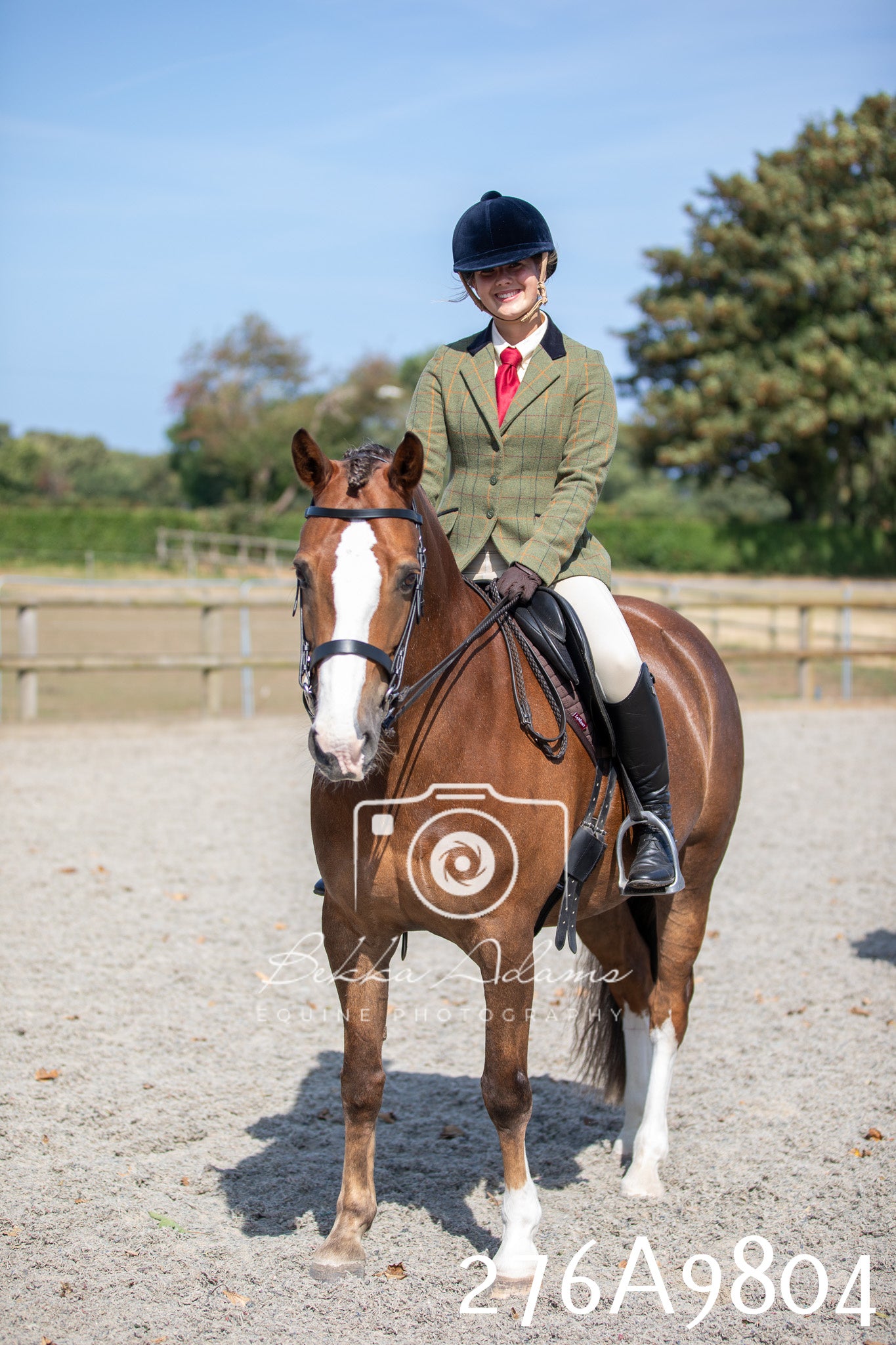 Home Farm Annual Show 2025 - Ridden Pt 2