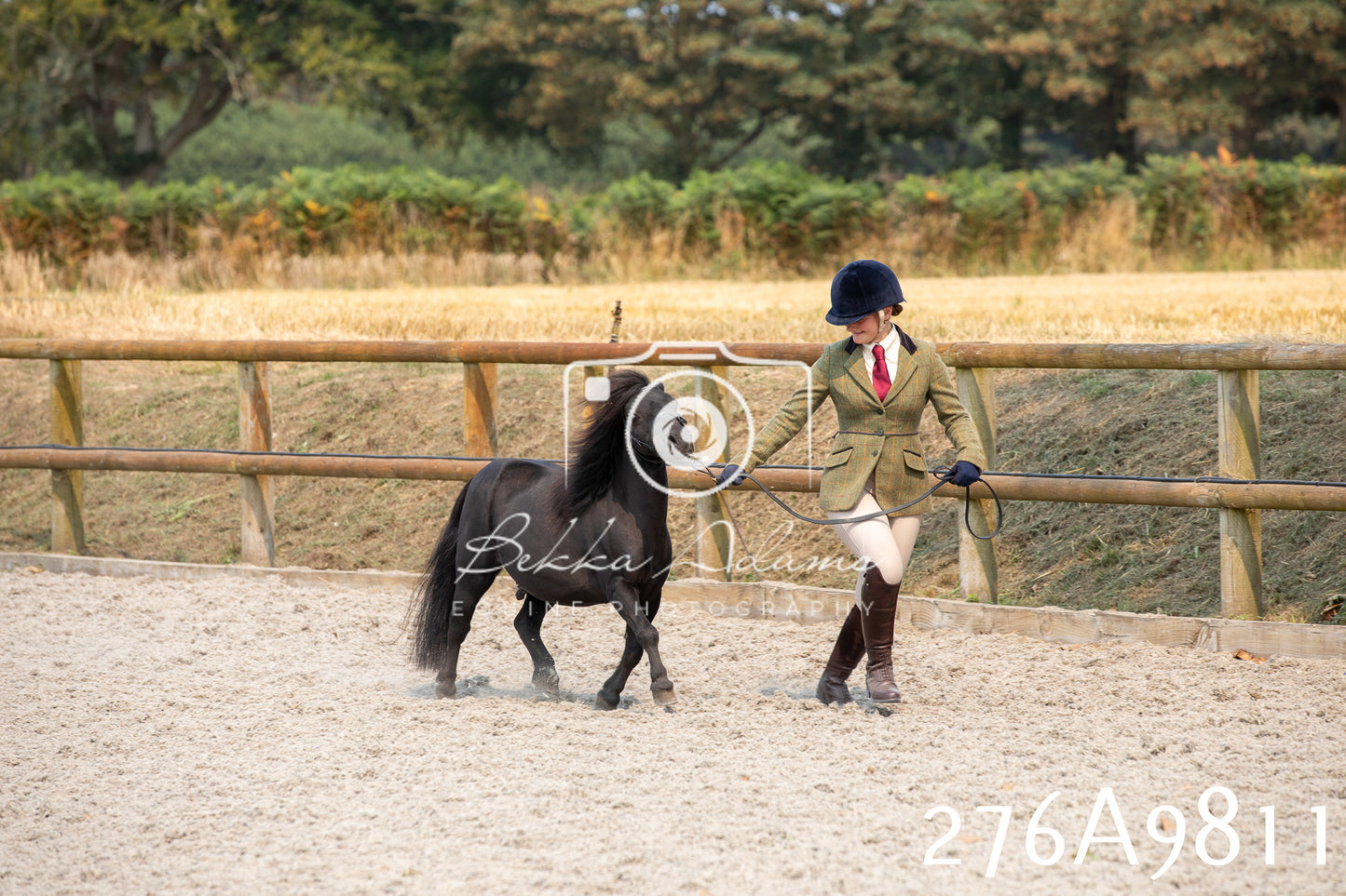 Home Farm Annual Show 2025 - Inhand Pt 2
