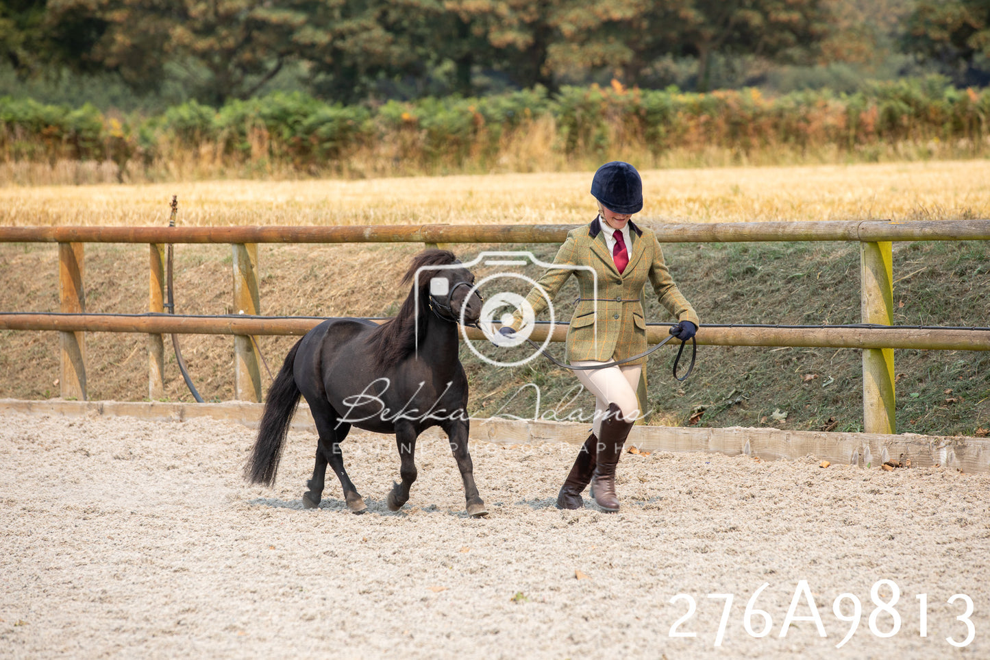 Home Farm Annual Show 2025 - Inhand Pt 2