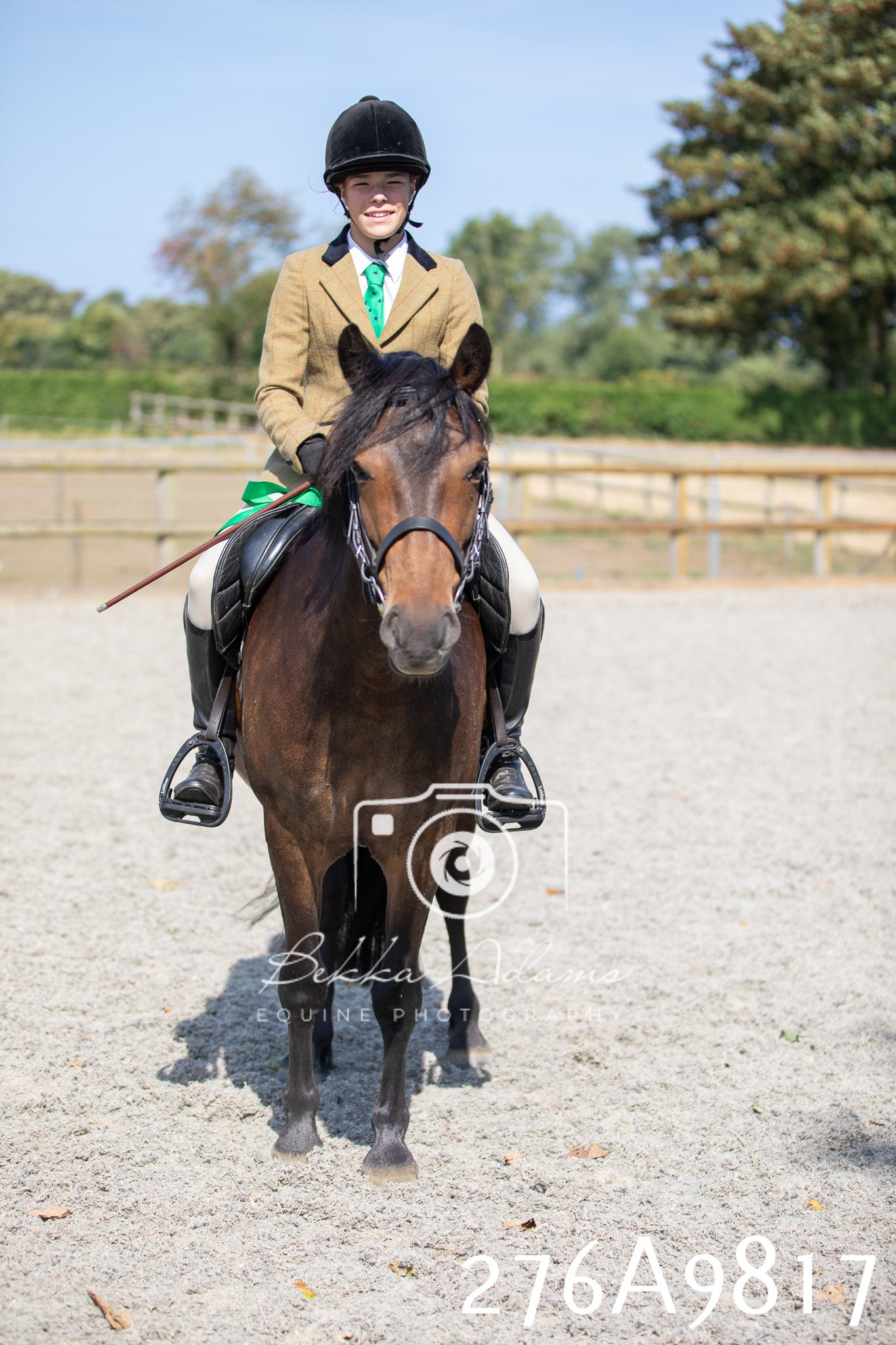 Home Farm Annual Show 2025 - Ridden Pt 2