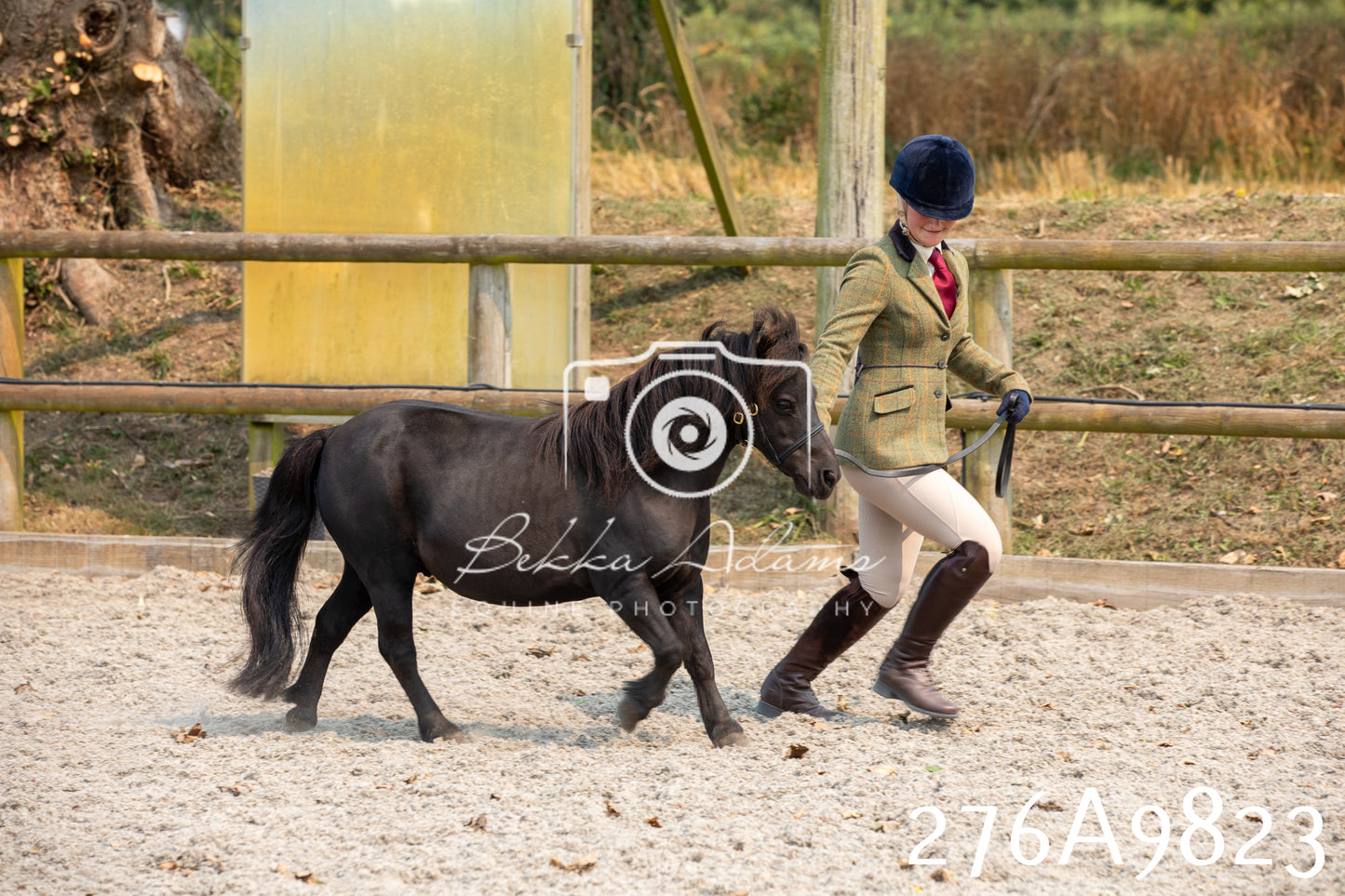 Home Farm Annual Show 2025 - Inhand Pt 2