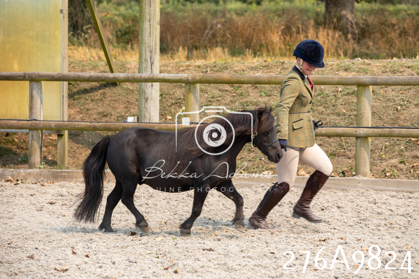 Home Farm Annual Show 2025 - Inhand Pt 2