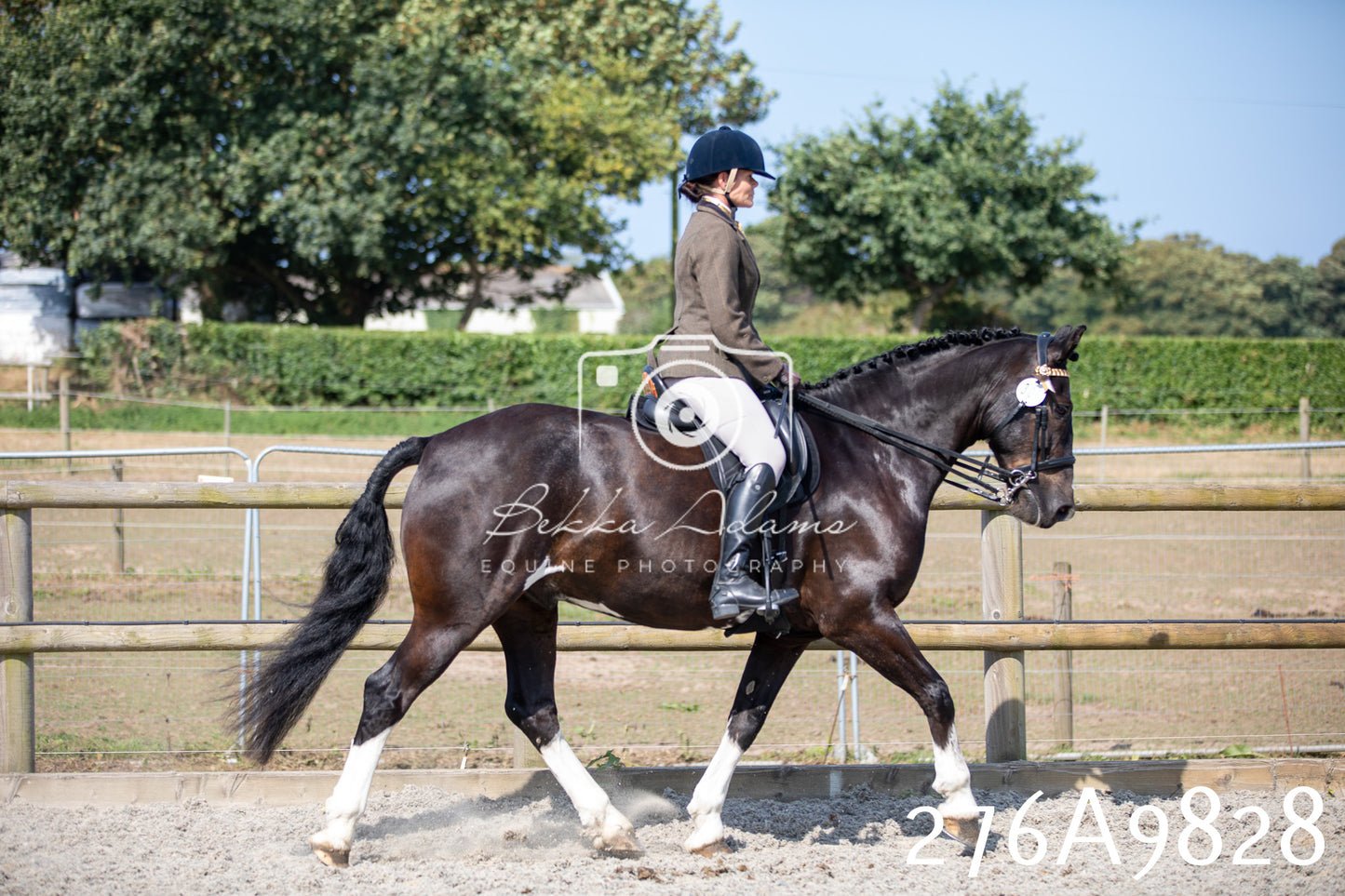 Home Farm Annual Show 2025 - Ridden Pt 2