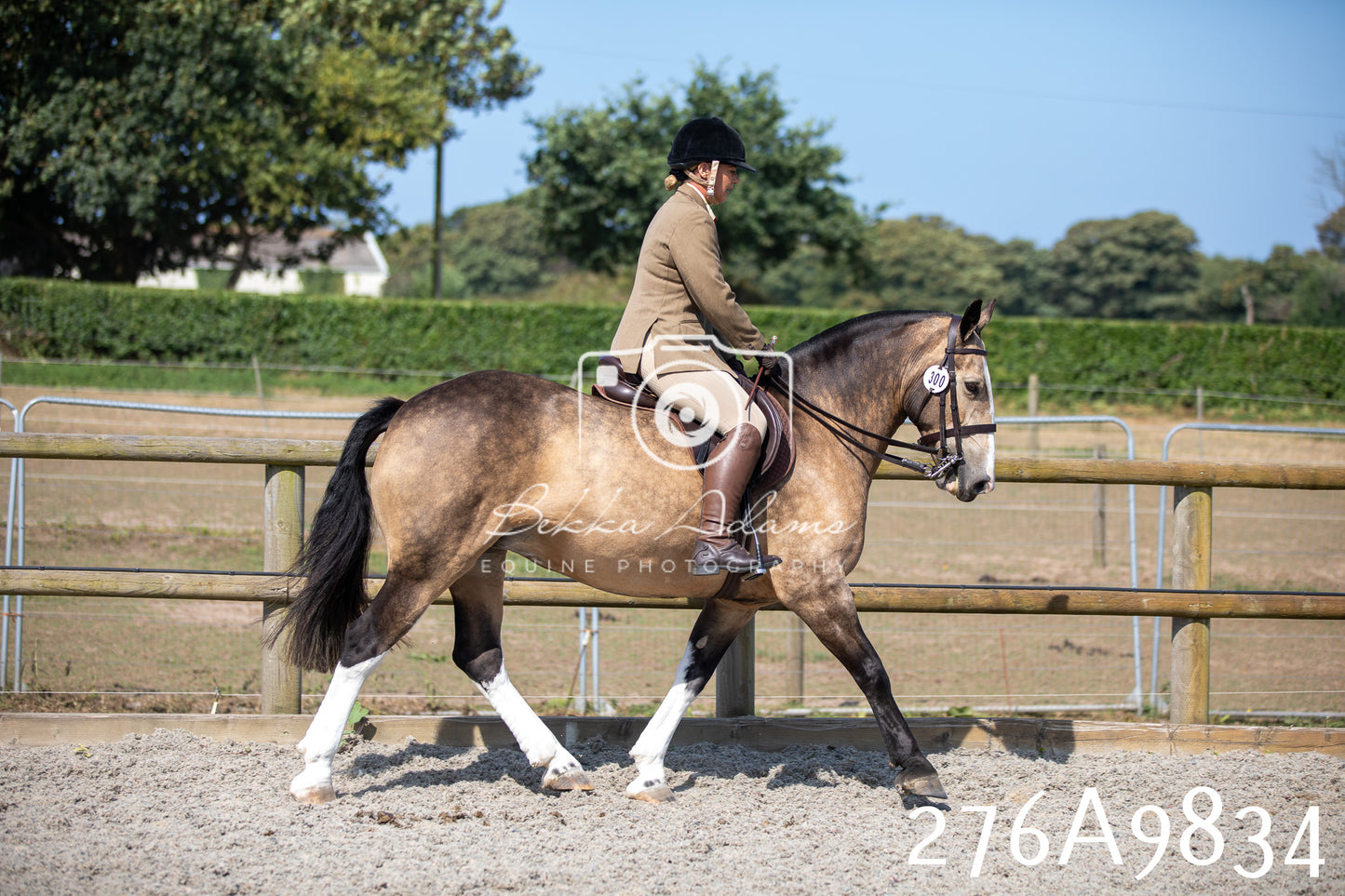 Home Farm Annual Show 2025 - Ridden Pt 2