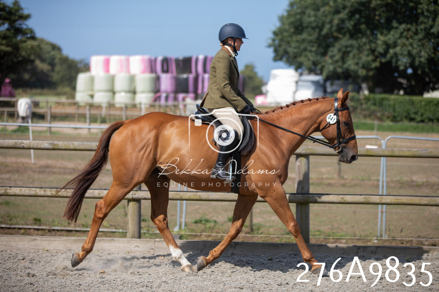 Home Farm Annual Show 2025 - Ridden Pt 2