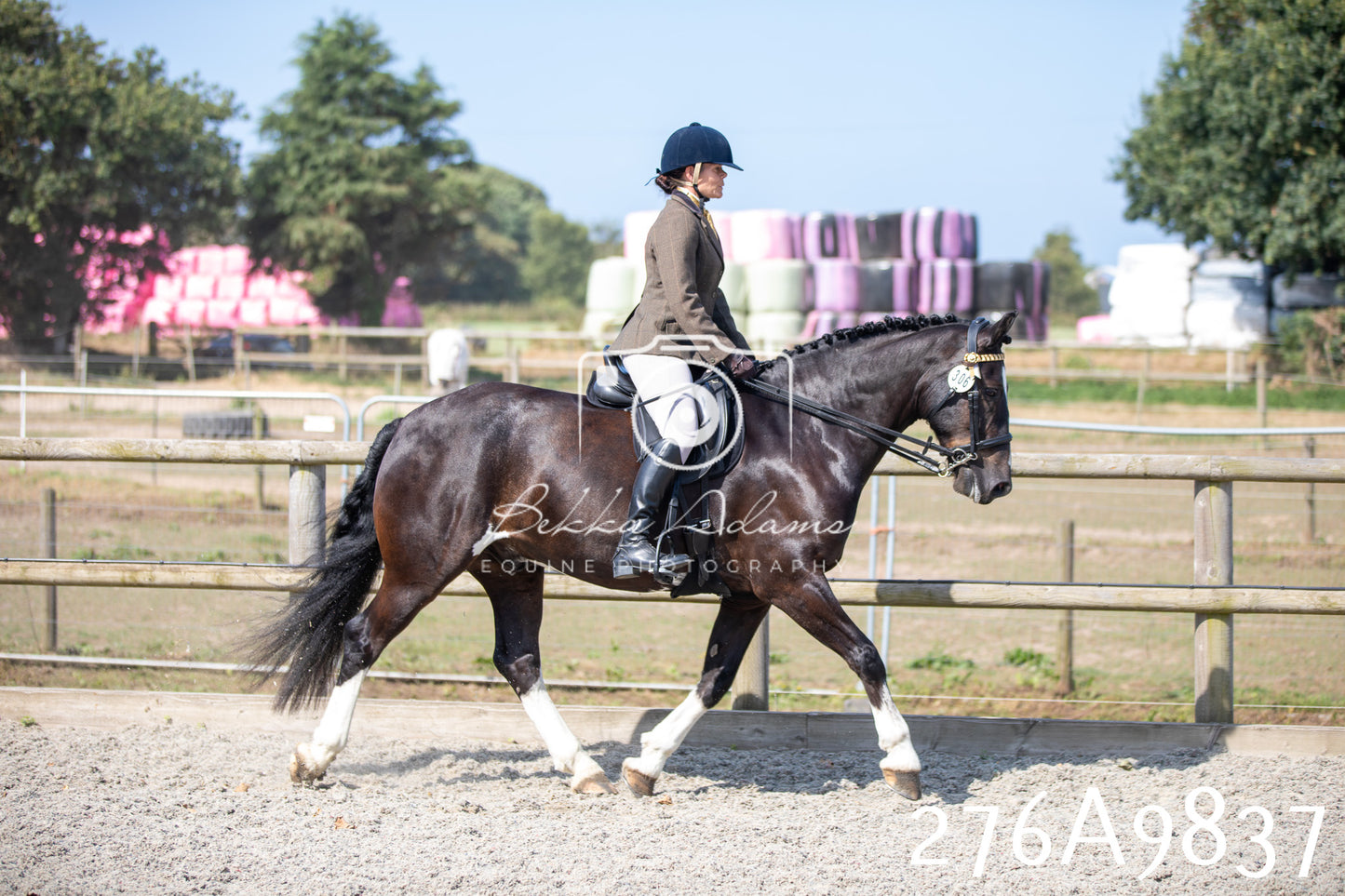 Home Farm Annual Show 2025 - Ridden Pt 2