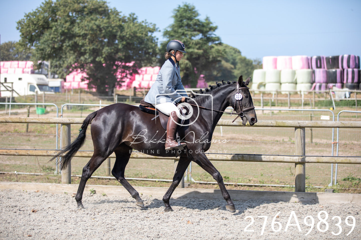 Home Farm Annual Show 2025 - Ridden Pt 2