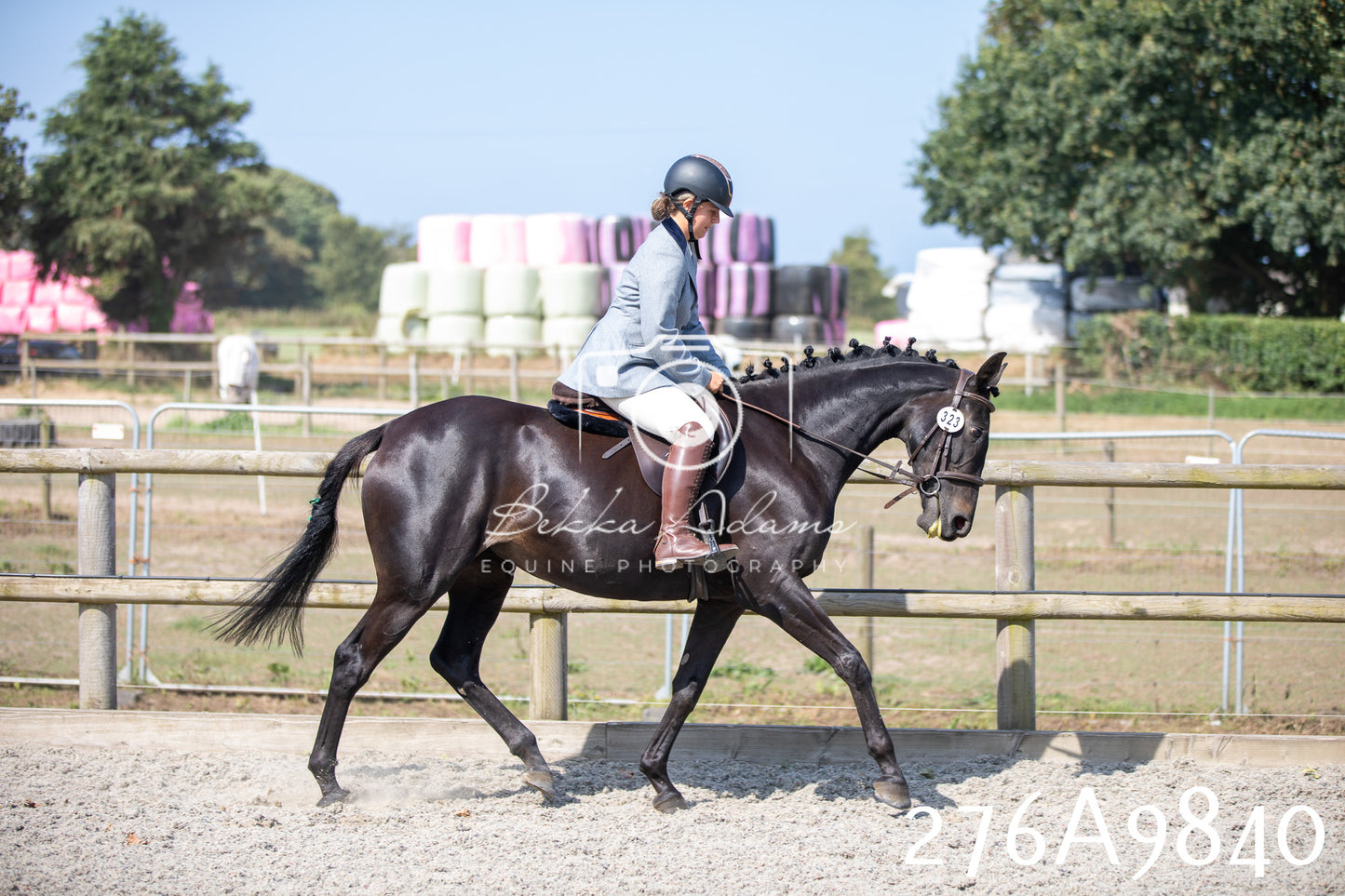 Home Farm Annual Show 2025 - Ridden Pt 2