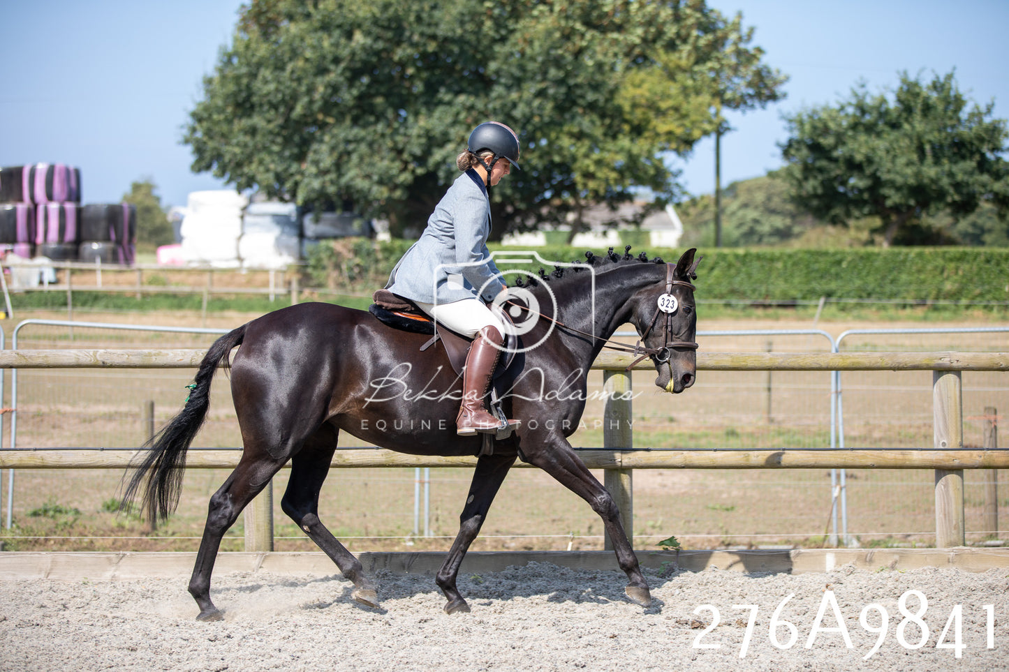 Home Farm Annual Show 2025 - Ridden Pt 2