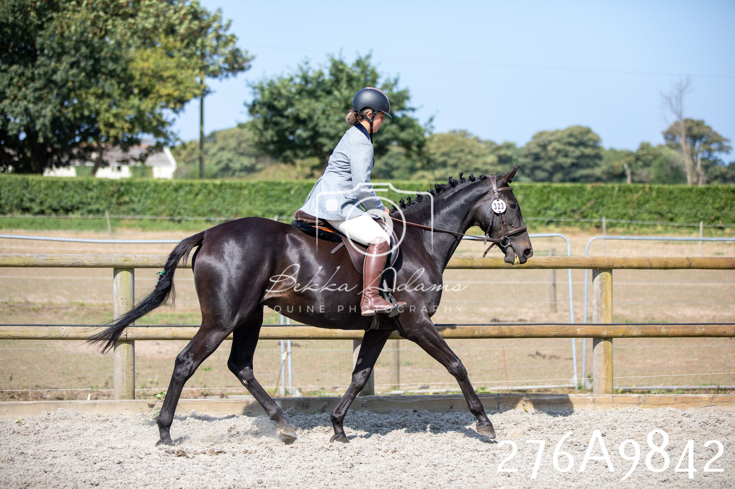 Home Farm Annual Show 2025 - Ridden Pt 2