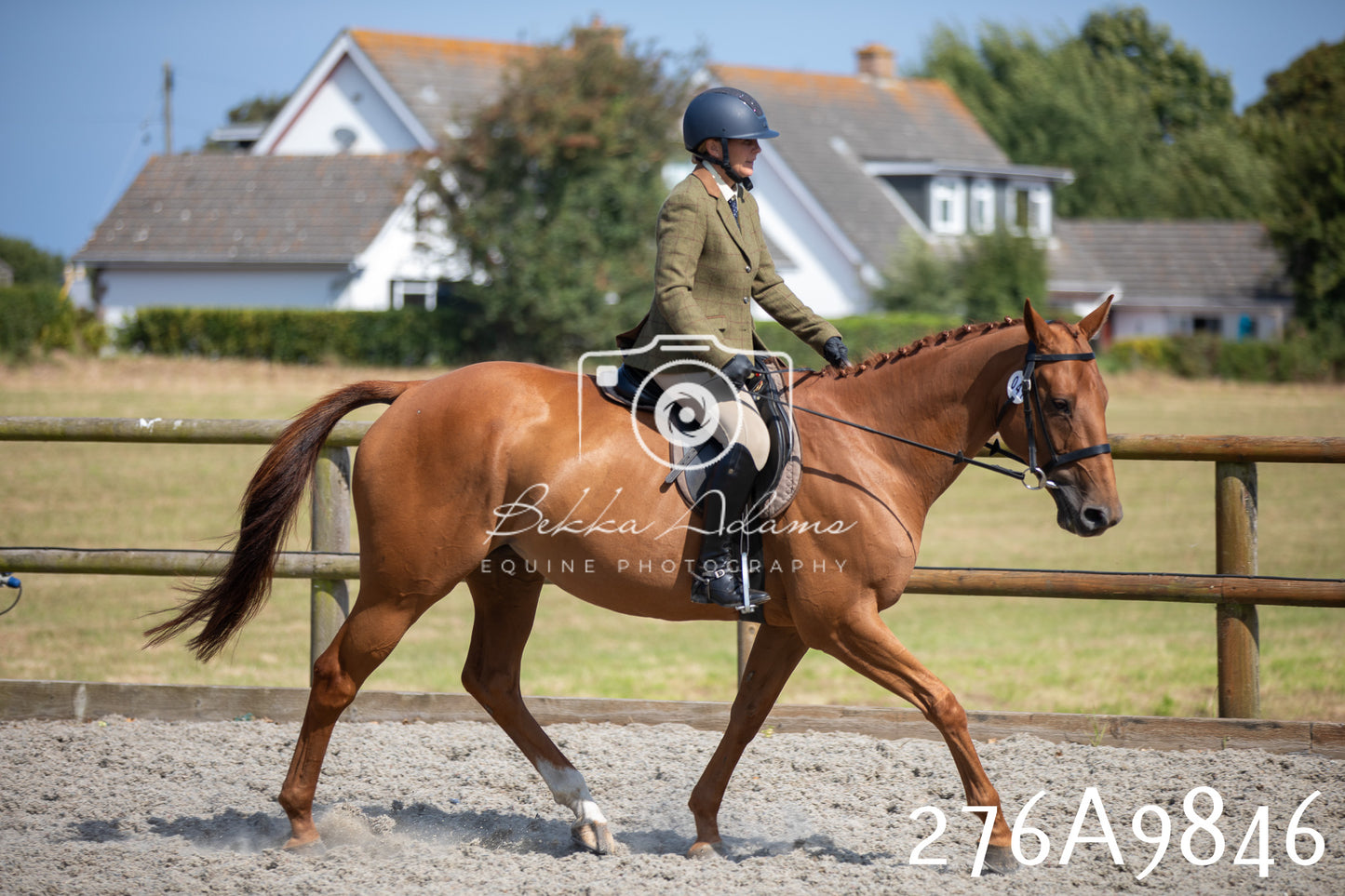 Home Farm Annual Show 2025 - Ridden Pt 2