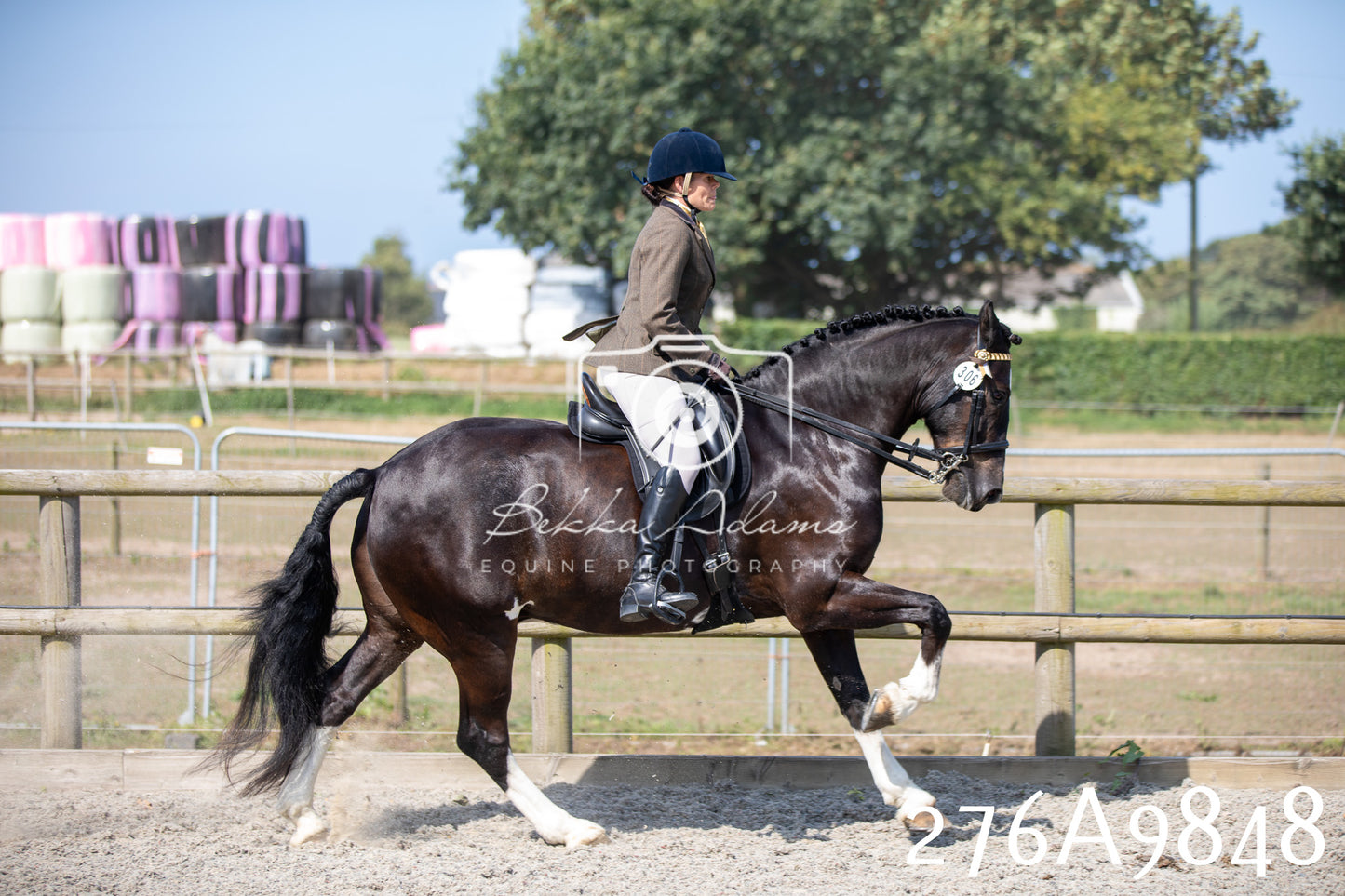 Home Farm Annual Show 2025 - Ridden Pt 2