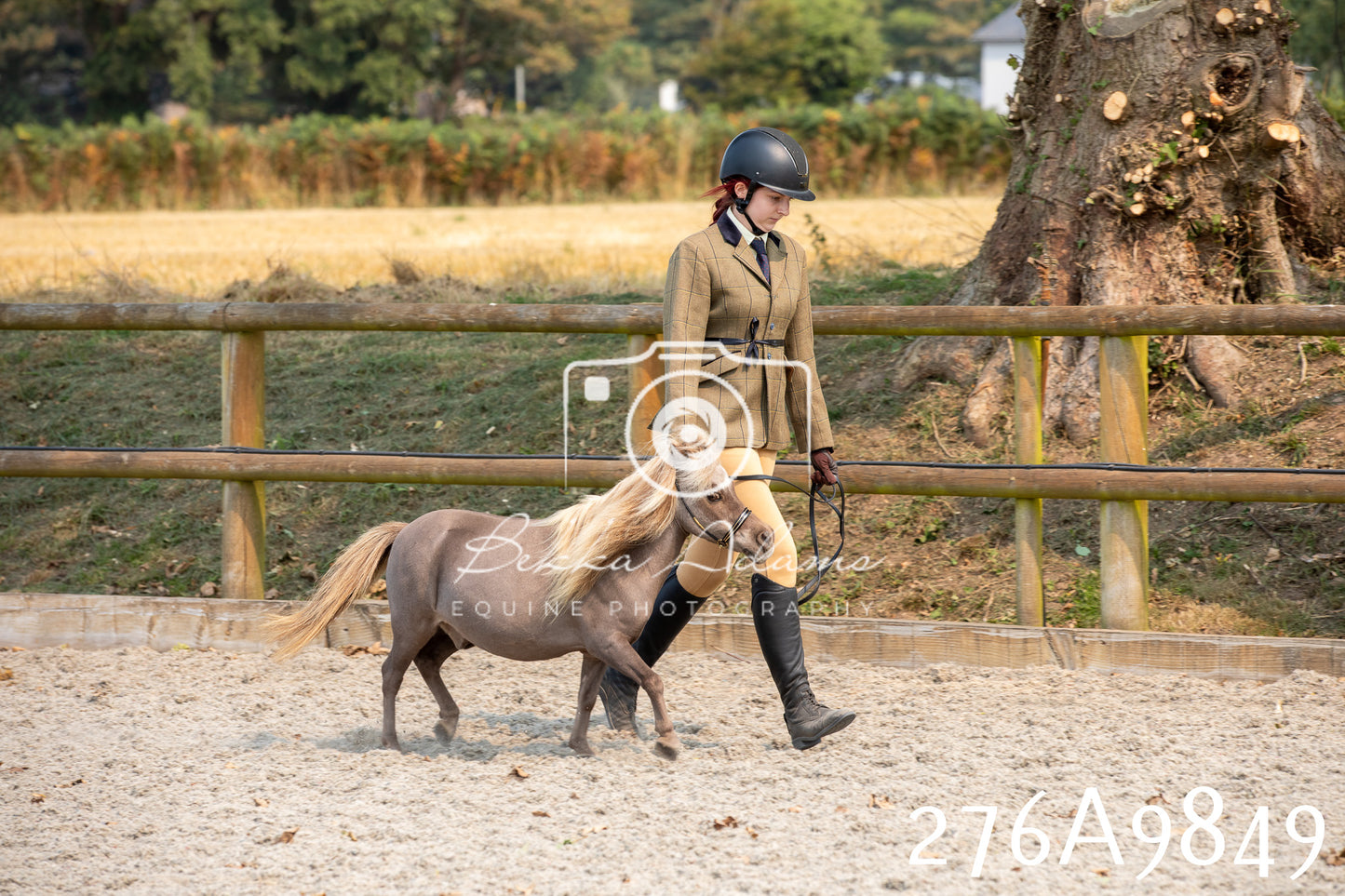 Home Farm Annual Show 2025 - Inhand Pt 2