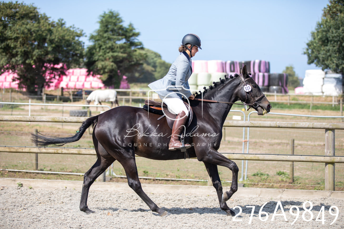 Home Farm Annual Show 2025 - Ridden Pt 2