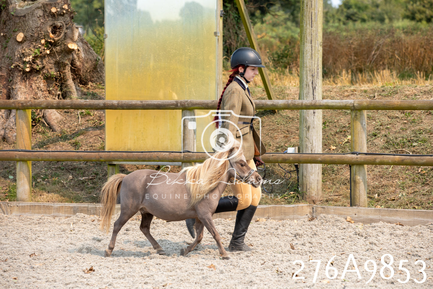 Home Farm Annual Show 2025 - Inhand Pt 2