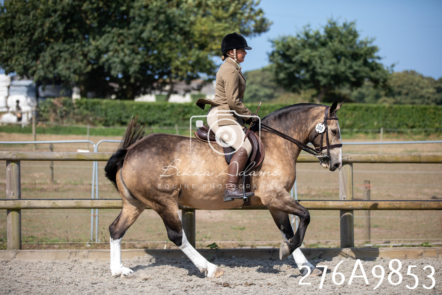 Home Farm Annual Show 2025 - Ridden Pt 2