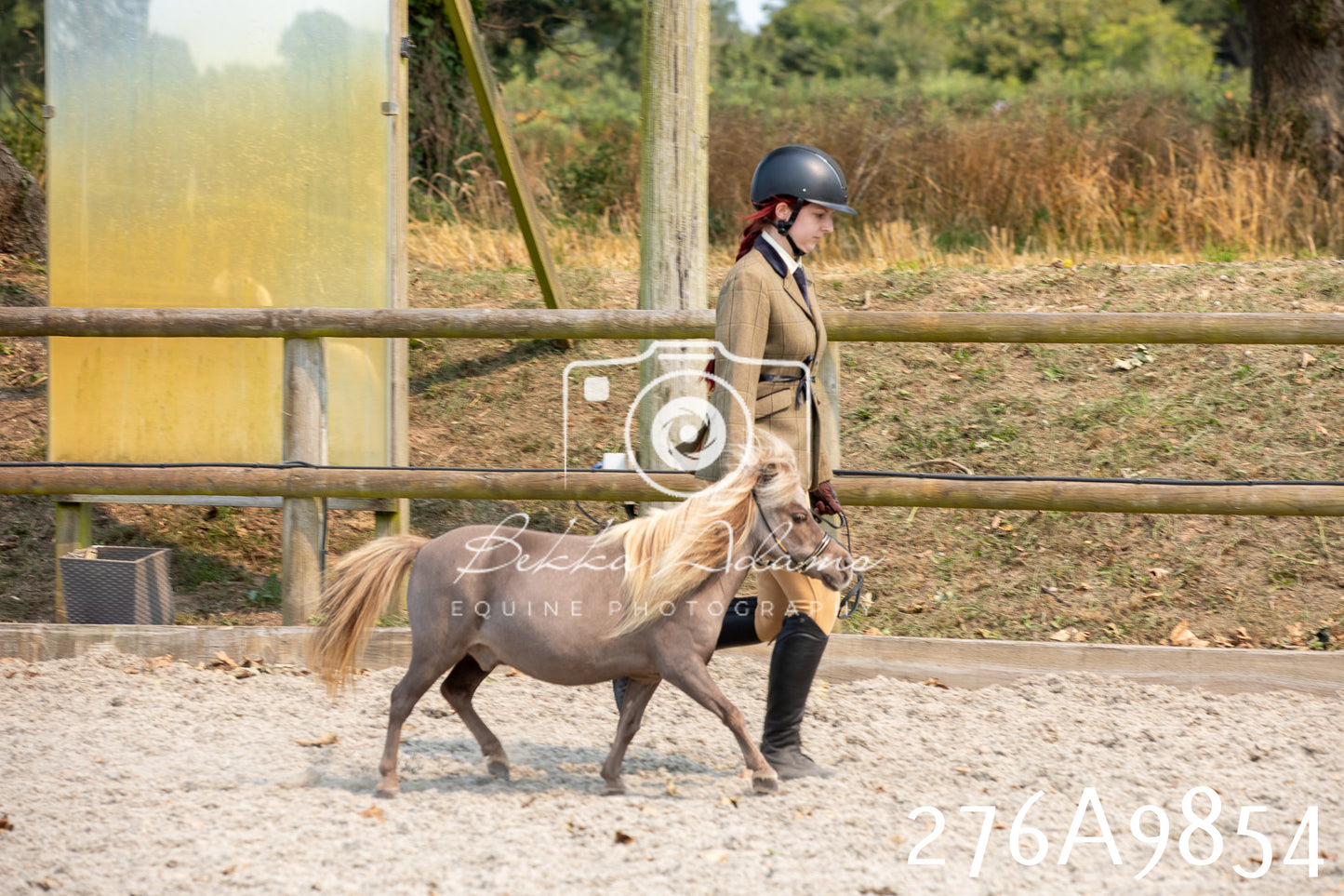 Home Farm Annual Show 2025 - Inhand Pt 2