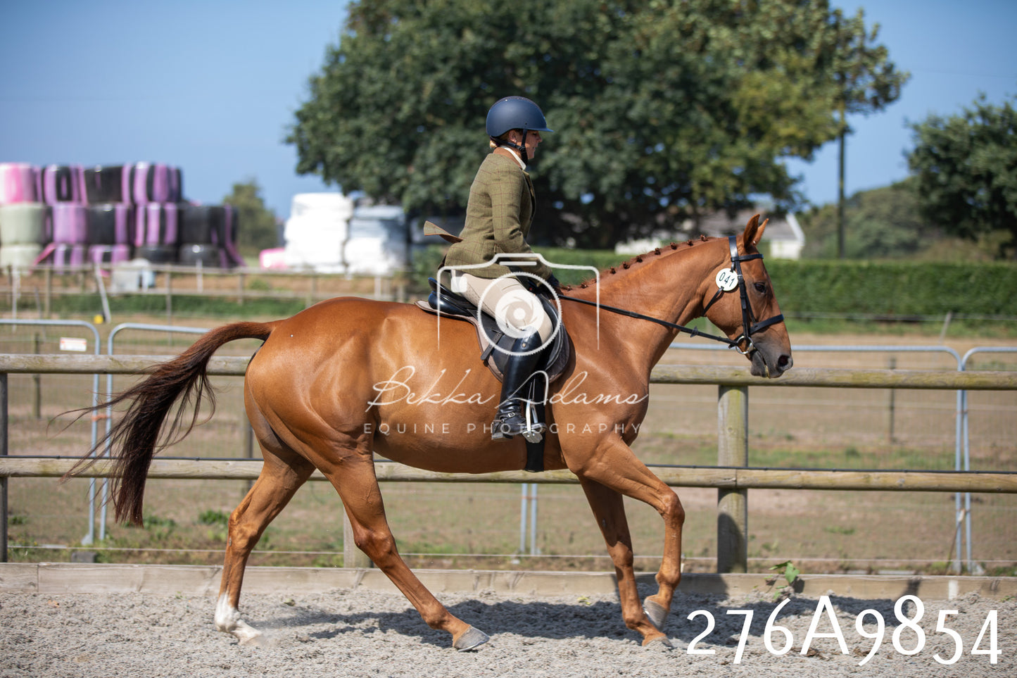 Home Farm Annual Show 2025 - Ridden Pt 2