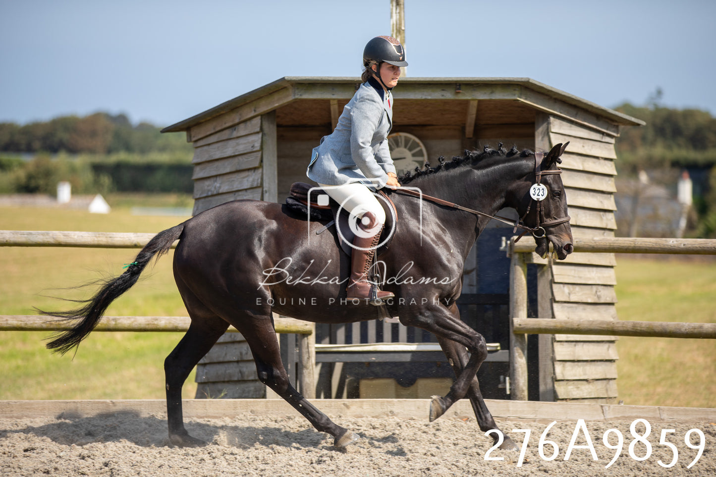 Home Farm Annual Show 2025 - Ridden Pt 2