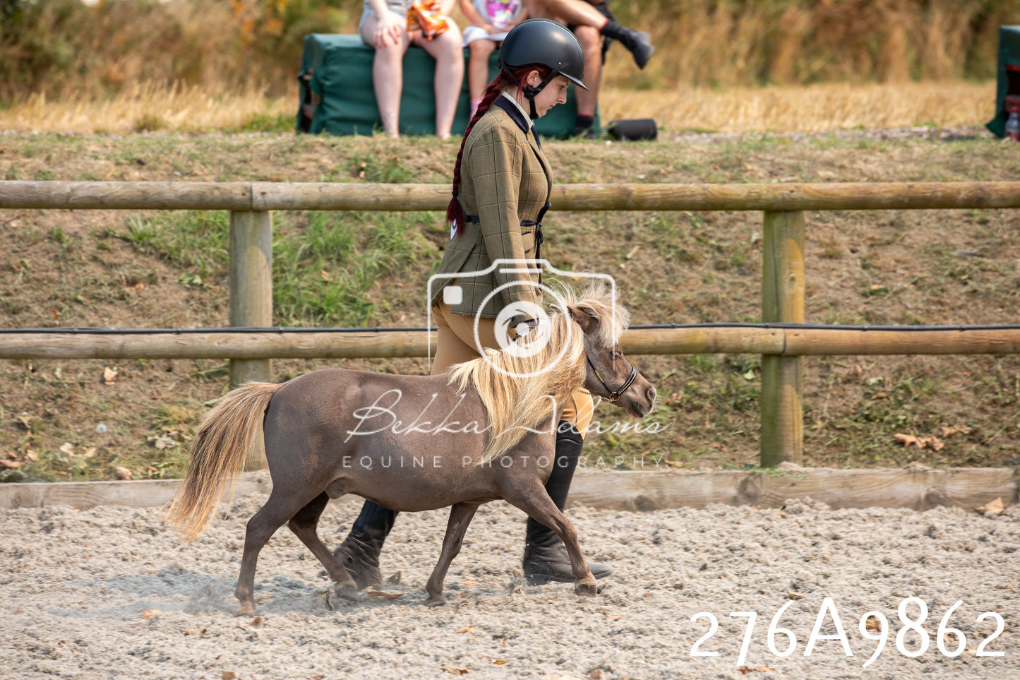 Home Farm Annual Show 2025 - Inhand Pt 2