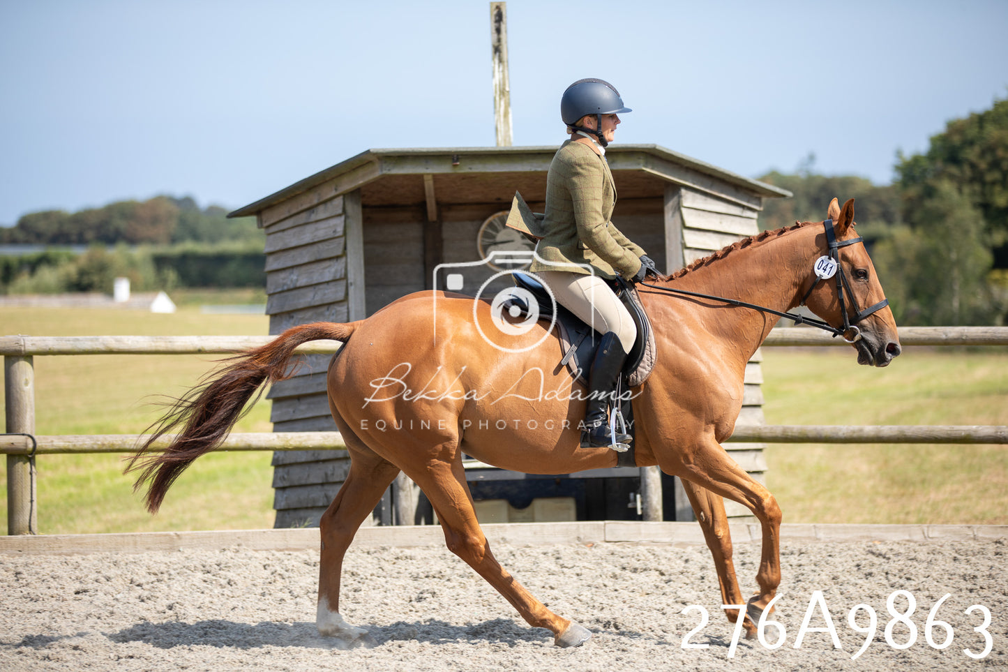 Home Farm Annual Show 2025 - Ridden Pt 2