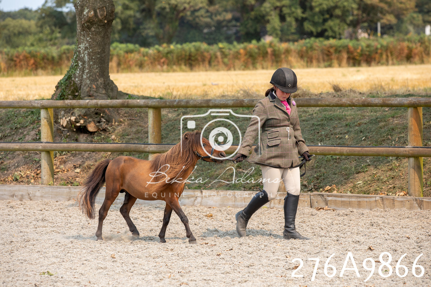 Home Farm Annual Show 2025 - Inhand Pt 2