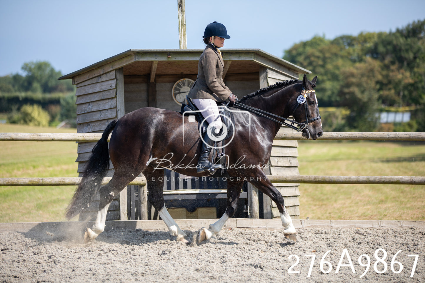 Home Farm Annual Show 2025 - Ridden Pt 2